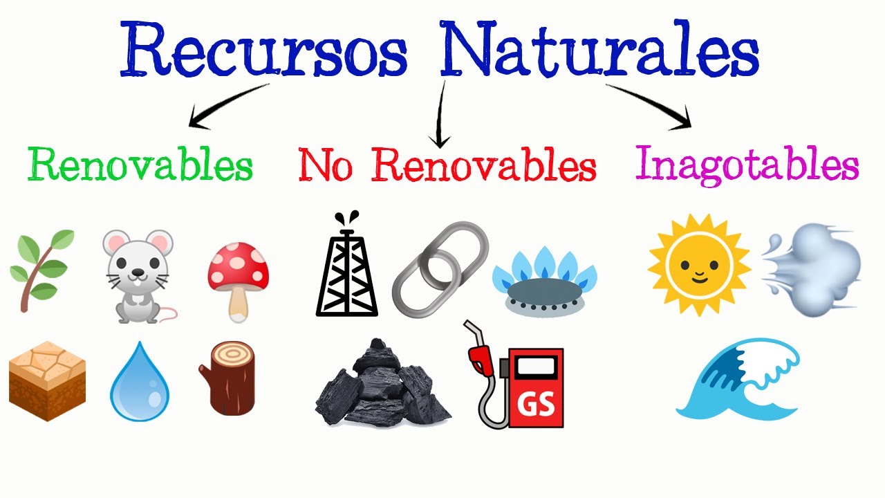 los recursos naturales se pueden clasificar en tres categorías: renovables, no renovables e inagotables.